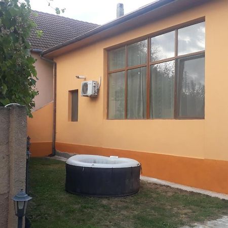 Haţeg Casa Ovi Si Simo酒店 外观 照片