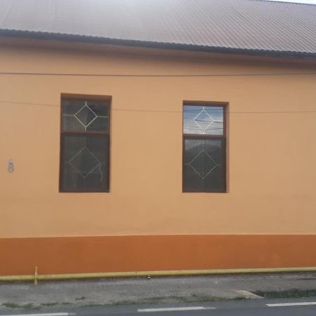 Haţeg Casa Ovi Si Simo酒店 外观 照片