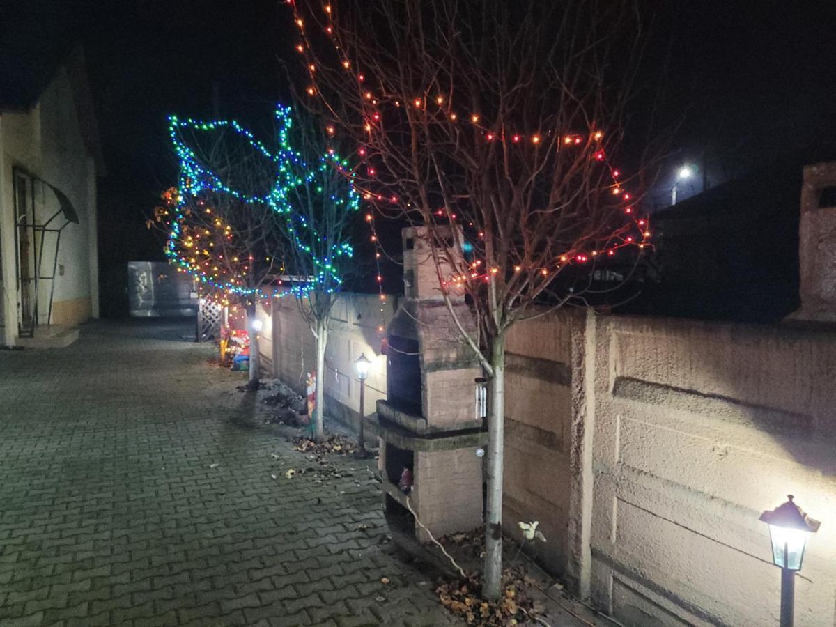 Haţeg Casa Ovi Si Simo酒店 外观 照片