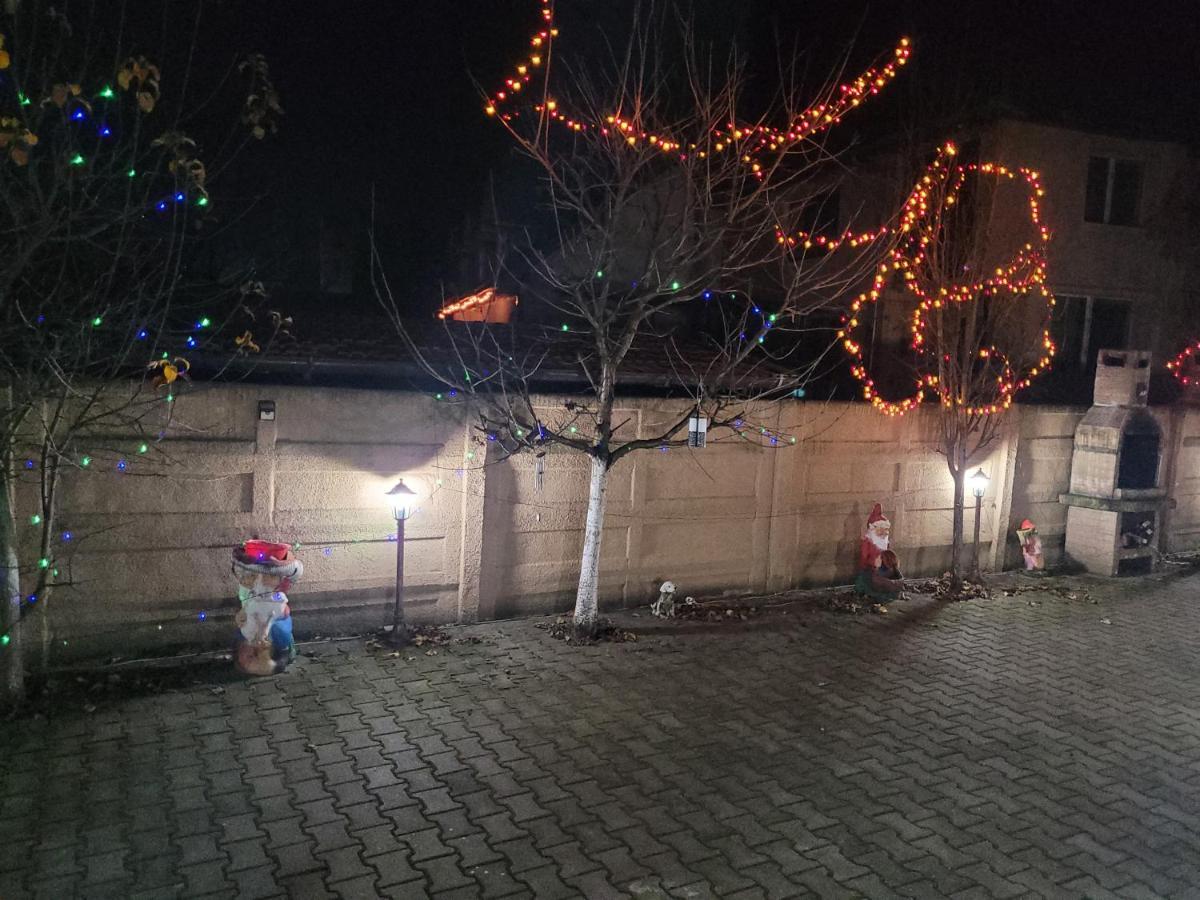 Haţeg Casa Ovi Si Simo酒店 外观 照片
