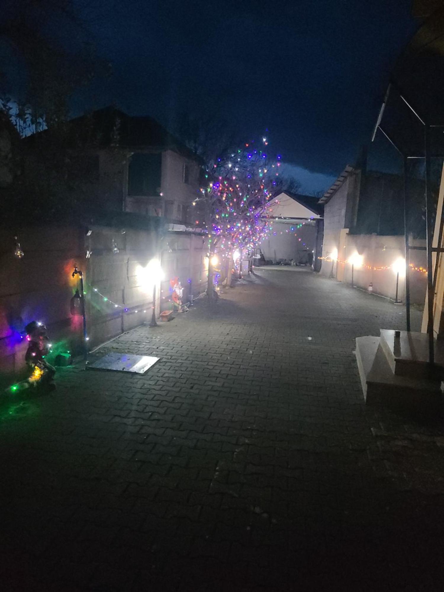 Haţeg Casa Ovi Si Simo酒店 外观 照片