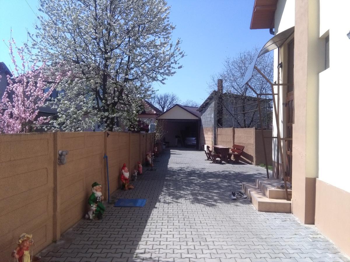 Haţeg Casa Ovi Si Simo酒店 外观 照片