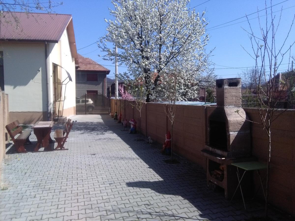 Haţeg Casa Ovi Si Simo酒店 外观 照片