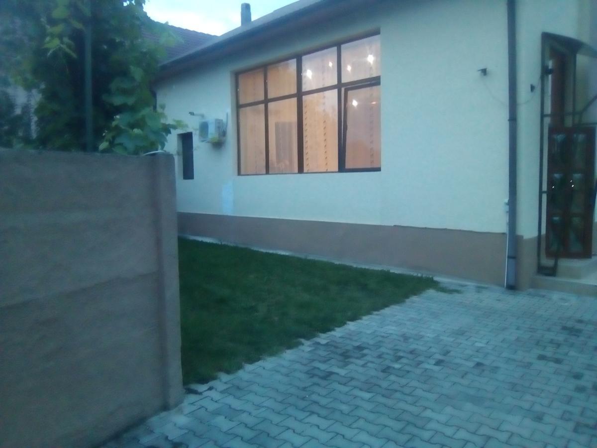 Haţeg Casa Ovi Si Simo酒店 外观 照片