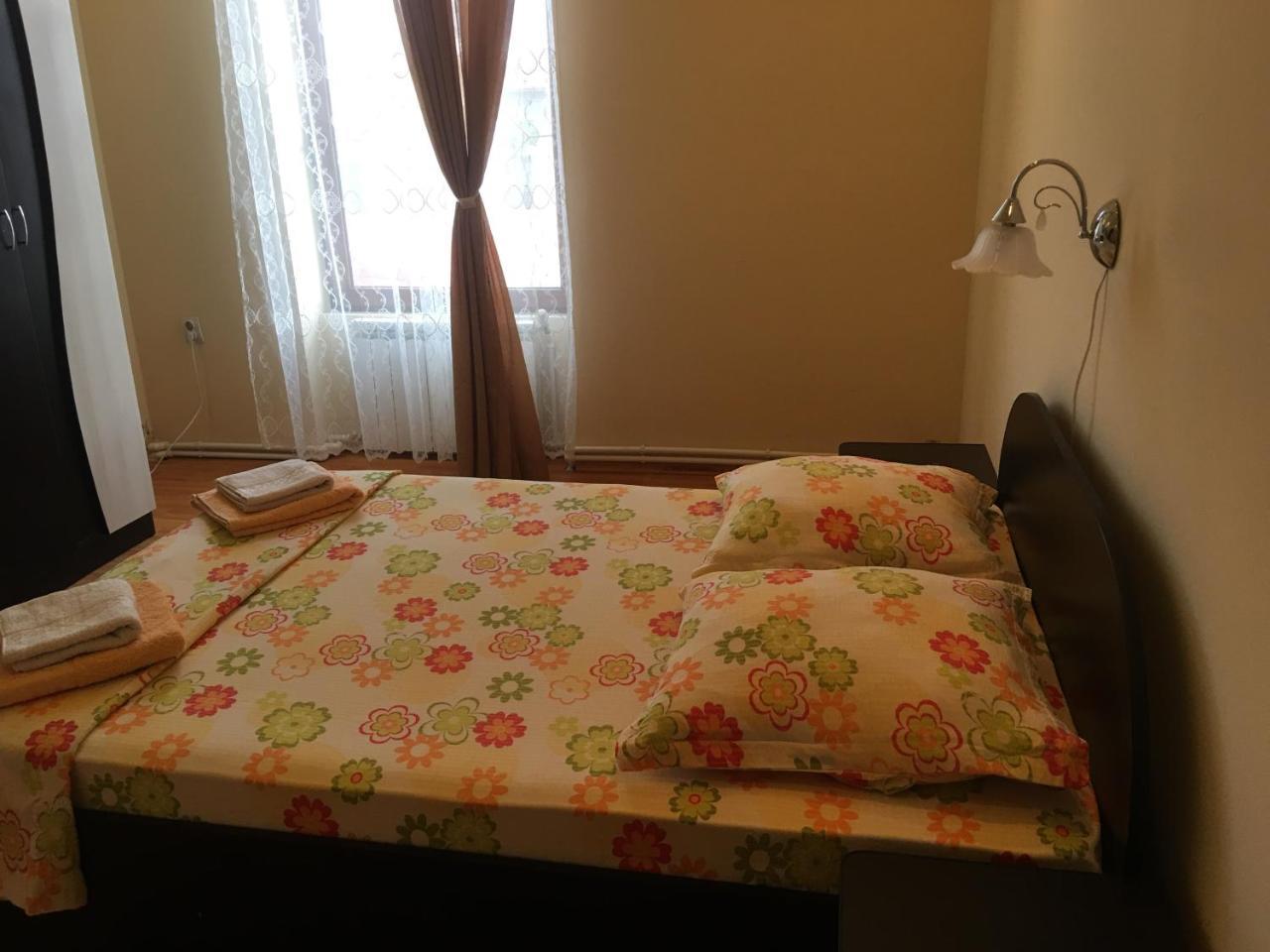 Haţeg Casa Ovi Si Simo酒店 外观 照片