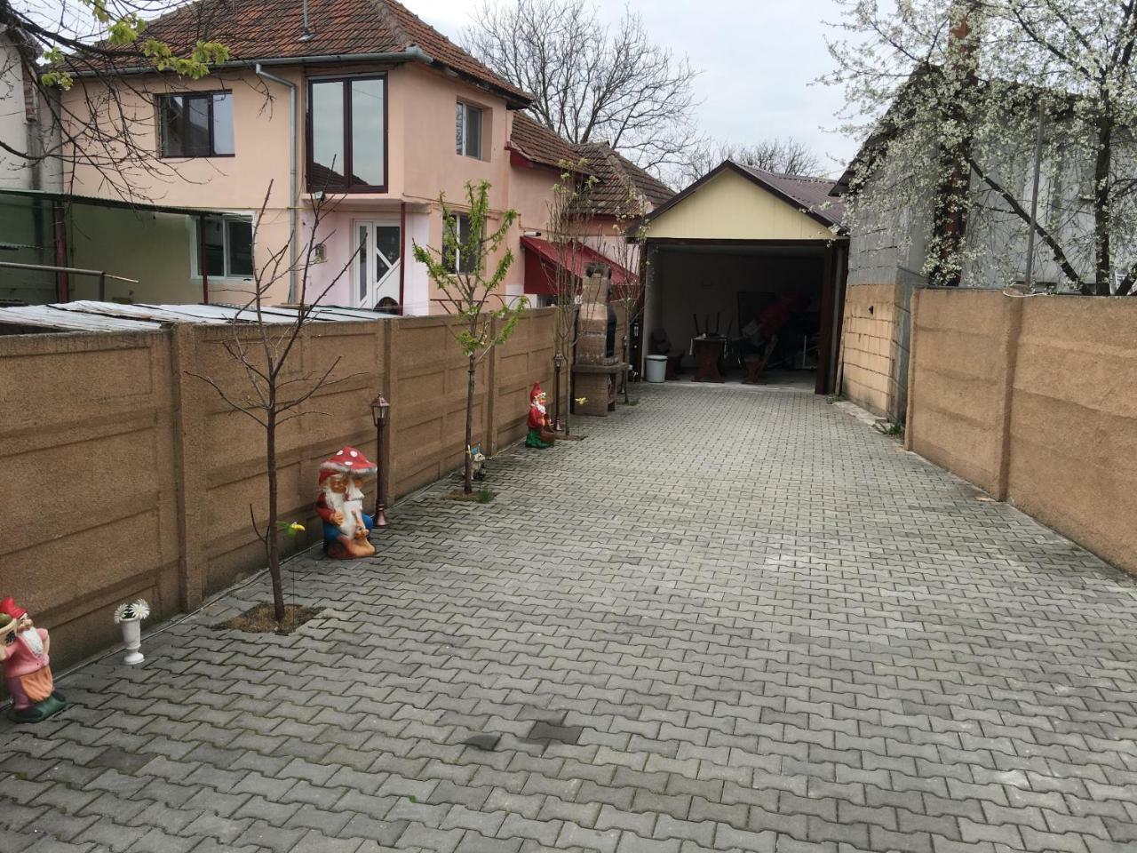 Haţeg Casa Ovi Si Simo酒店 外观 照片