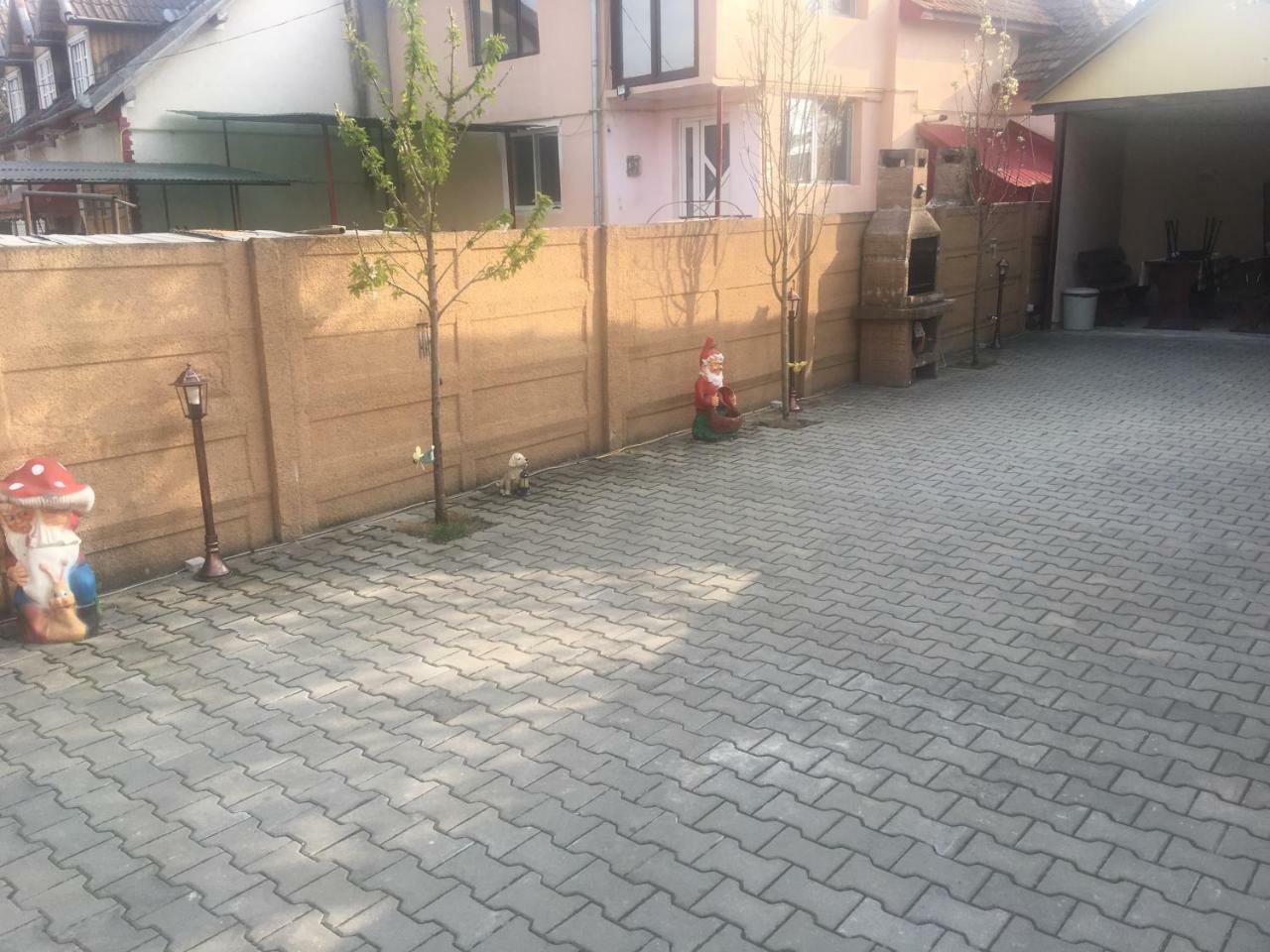 Haţeg Casa Ovi Si Simo酒店 外观 照片