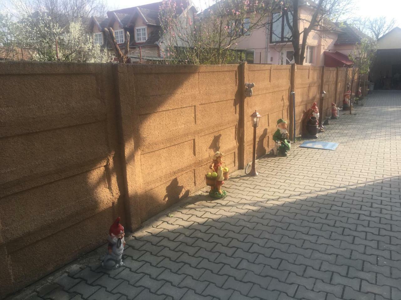 Haţeg Casa Ovi Si Simo酒店 外观 照片