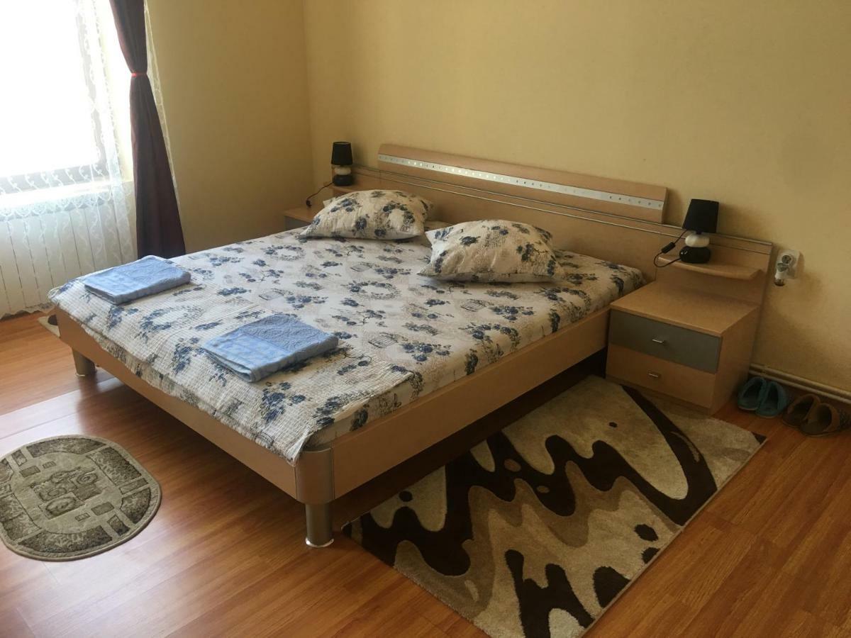 Haţeg Casa Ovi Si Simo酒店 外观 照片