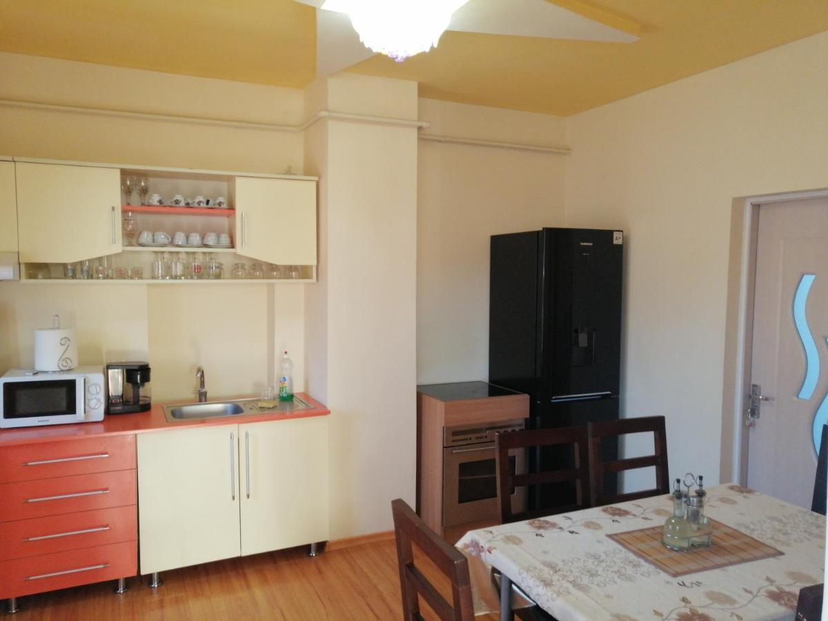 Haţeg Casa Ovi Si Simo酒店 外观 照片
